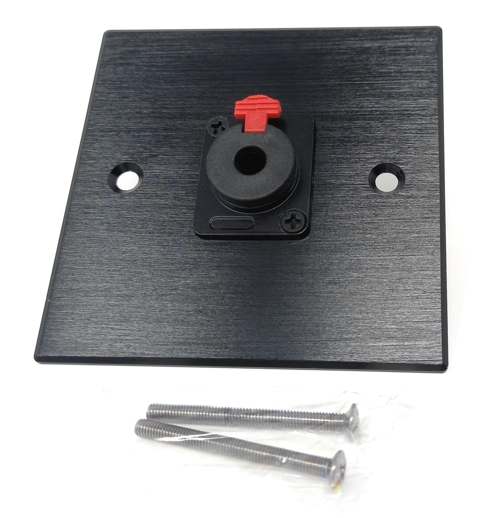Brushed Aluminium Single 6.35mm Jack Socket D-Series Outlet Wall Faceplate – Durable Metal Plate with Screws Included