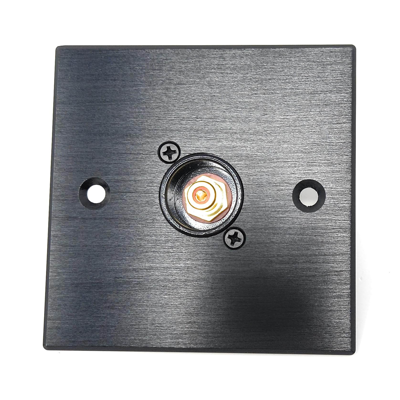 Brushed Aluminium Single RCA Phono Socket Female AV Audio Video D-Series Outlet Wall Faceplate – Durable Metal Plate with Screws Included