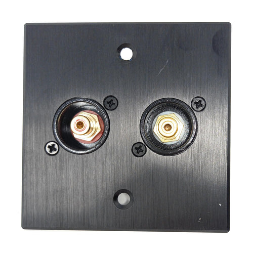 Brushed Aluminium Dual RCA Phono Socket Female AV Audio Video D-Series Outlet Wall Faceplate – Durable Metal Plate with Screws Included