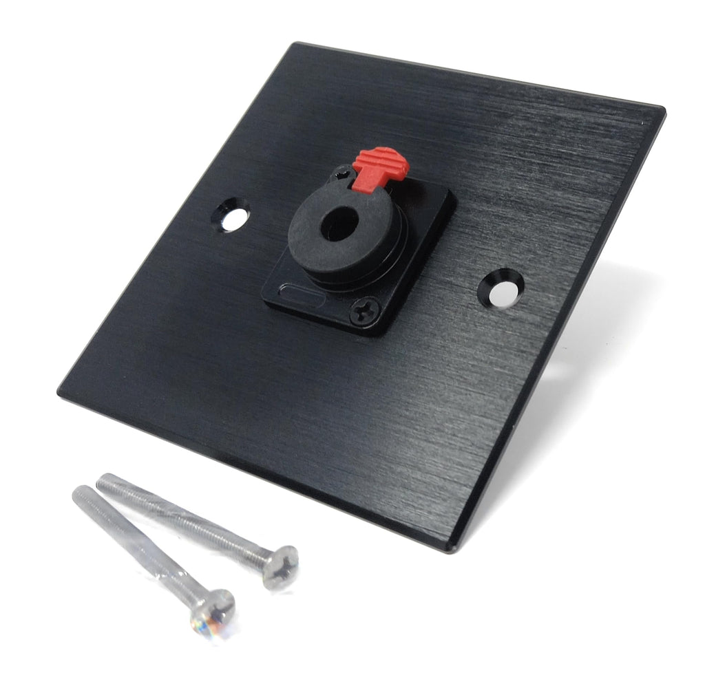 Brushed Aluminium Single 6.35mm Jack Socket D-Series Outlet Wall Faceplate – Durable Metal Plate with Screws Included