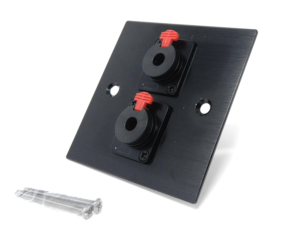 Brushed Aluminium Double 6.35mm Jack Socket (Soldering Ends) D-Series Wall Faceplate – Durable Metal Outlet with Screws