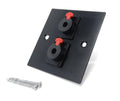 Brushed Aluminium Double 6.35mm Jack Socket (Soldering Ends) D-Series Wall Faceplate – Durable Metal Outlet with Screws