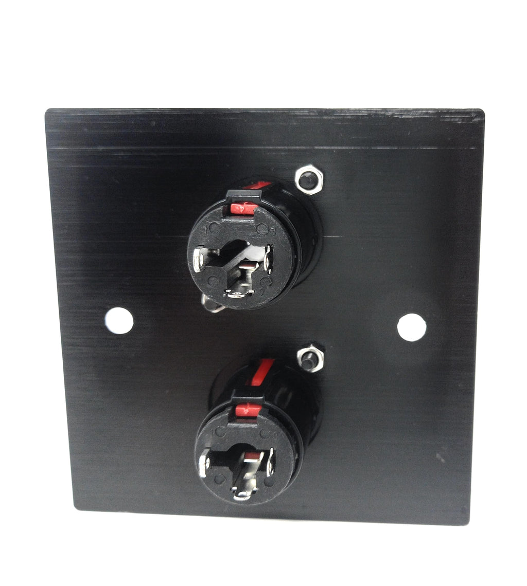 Brushed Aluminium Double 6.35mm Jack Socket (Soldering Ends) D-Series Wall Faceplate – Durable Metal Outlet with Screws